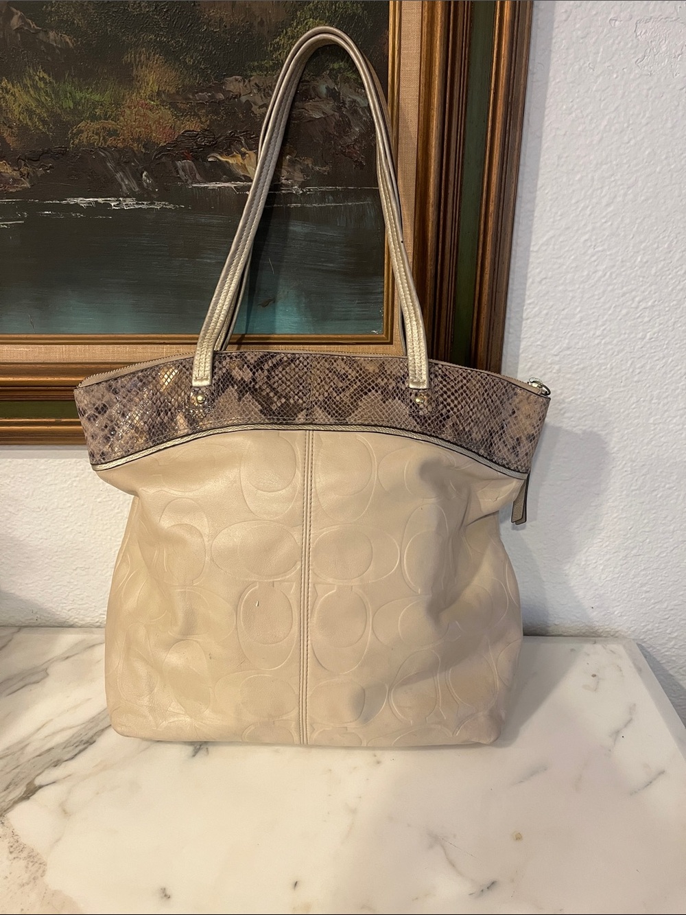 Coach purse